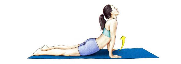 Растяжка спины: упражнения, разминочные комплексы и рекомендации