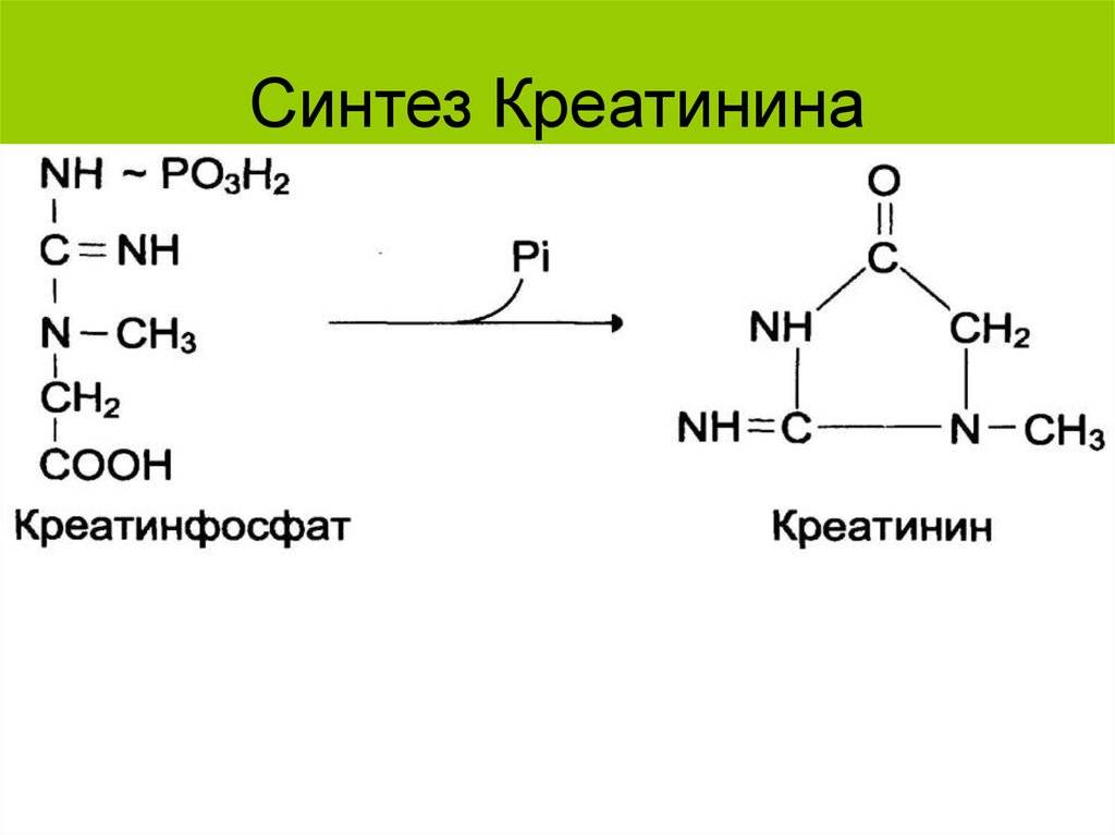Соматомедин-с (инсулиноподобный фактор роста i)