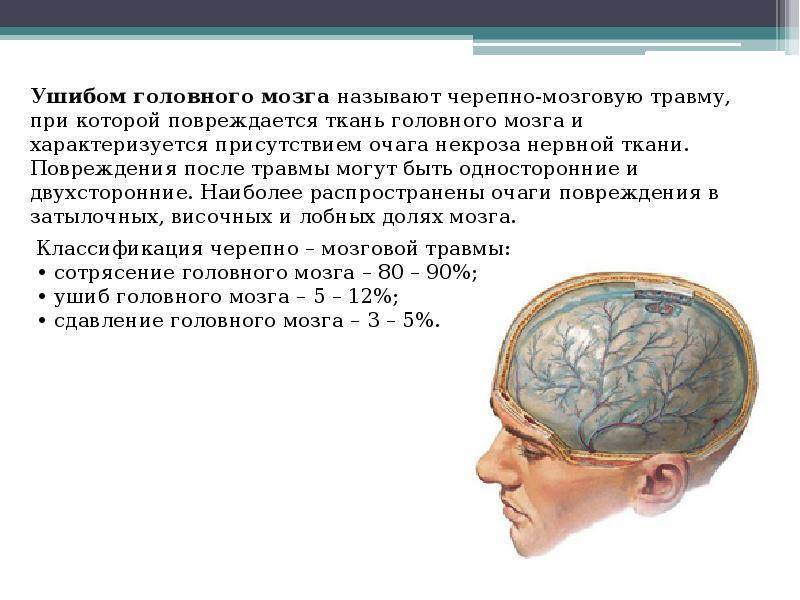 Сотрясение головного мозга – симптомы, признаки, первая помощь, степени повреждения :: polismed.com