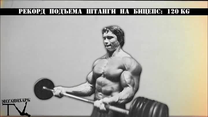 Жим штанги стоя и сидя: польза и вред