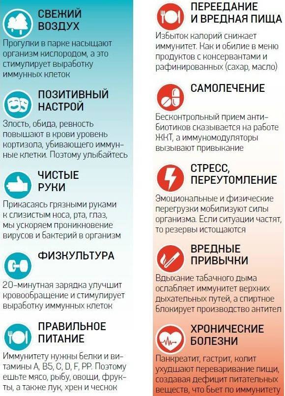 Укрепление детского иммунитета: мифы, в которые пора перестать верить