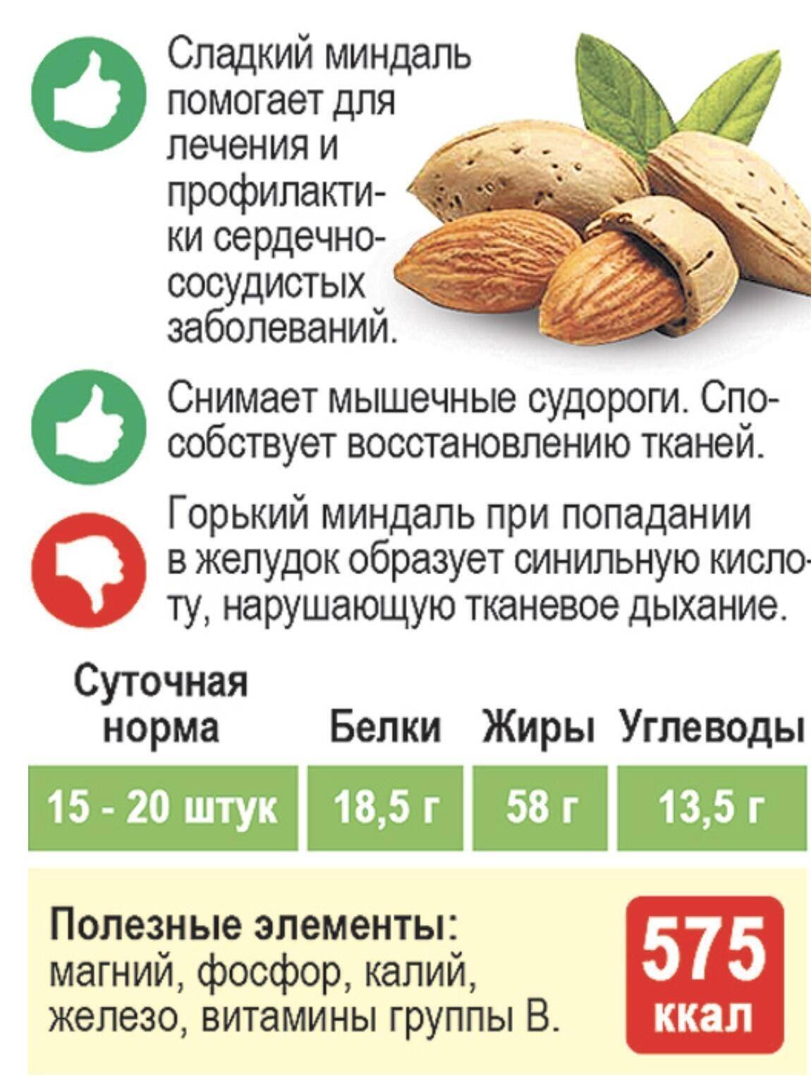 Миндаль - калорийность, польза и вред, противопоказания medistok.ru - жизнь без болезней и лекарств