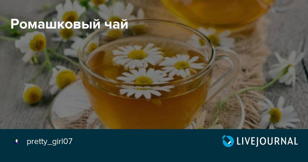 Если пить ромашку каждый день что будет, как часто и сколько можно пить ромашку