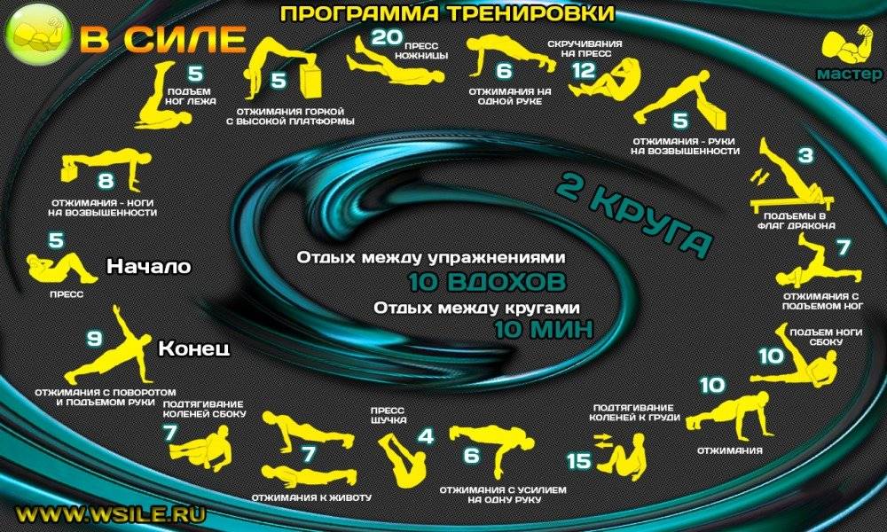 Кроссфит для начинающих: упражнения, программы и комплексы тренировок и wod