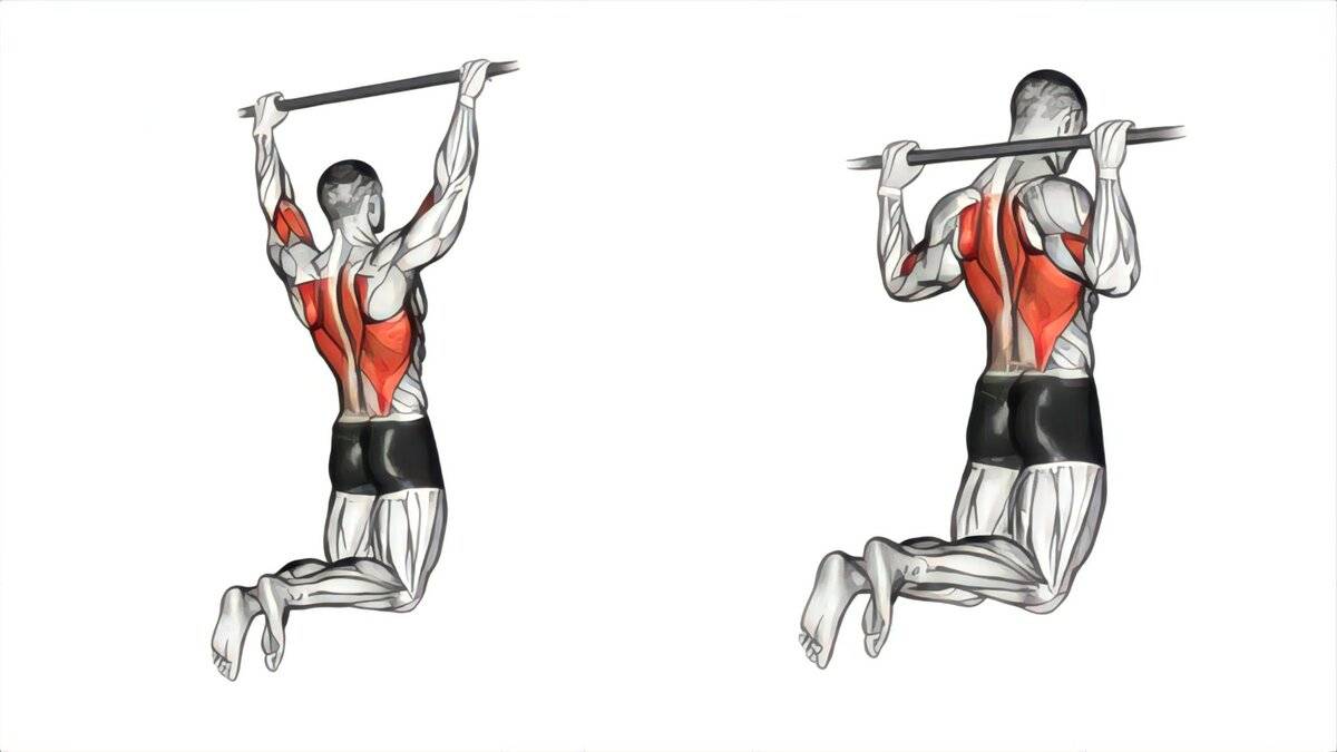 Как накачать мышцы спины: лучшие упражнения и советы (схемы, картинки, видео уроки) для новичков
