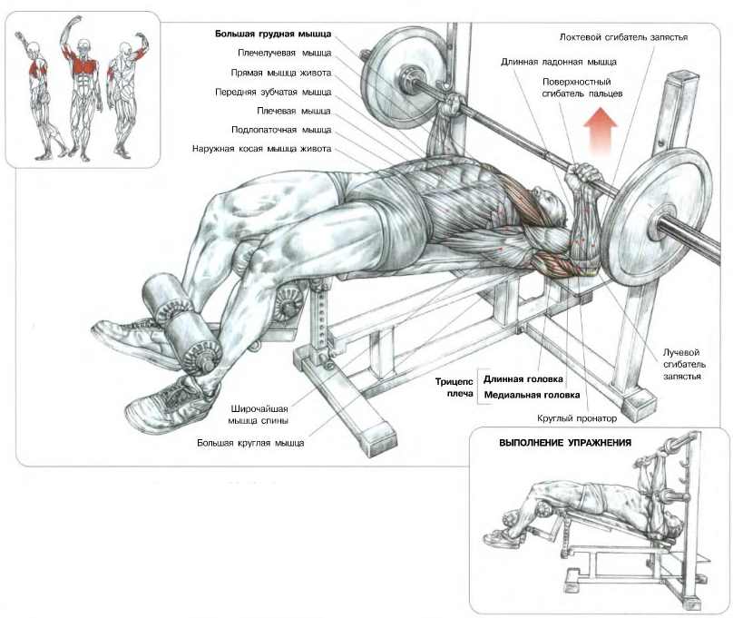 Упражнения в зале для грудных мышц мужчин