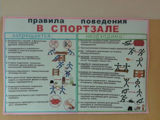Правила поведения в тренажерном зале | musclelife.ru