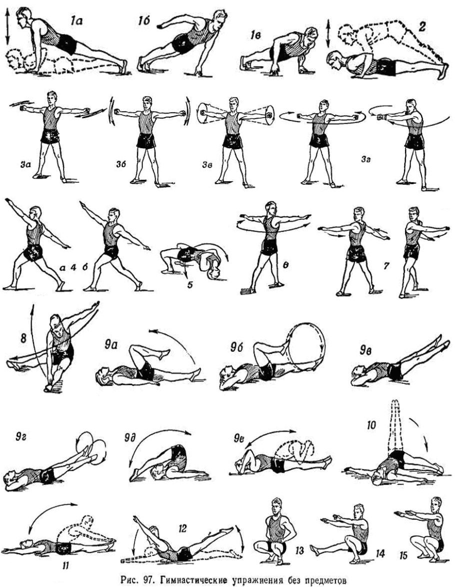 44 эффективных упражнения для сильных рук и рельефных плеч