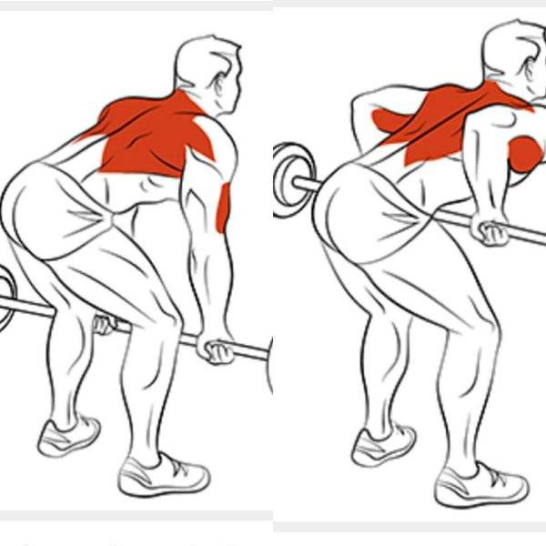 Как гантелями накачать широчайшие мышцы спины в домашних условиях