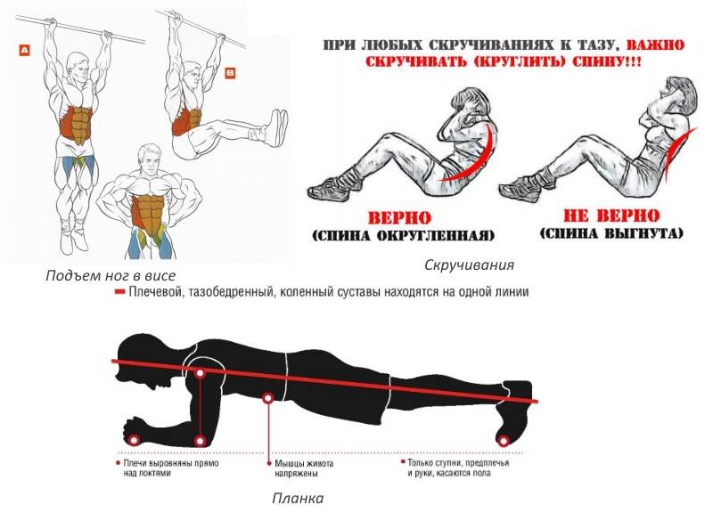 Упражнения для косых мышц живота для мужчин. упражнения на боковые мышцы пресса в домашних условиях