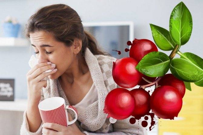 Диета при простуде – какая должна быть диета при простуде и гриппе?