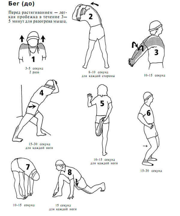 Комплекс лучших упражнений для разминки перед силовой тренировкой и после нее