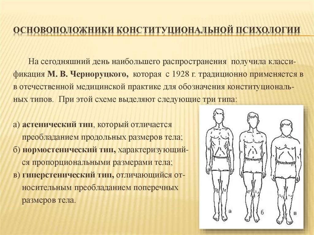 Типы телосложения человека, их характеристика