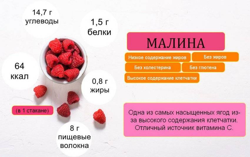 Малина – низкокалорийная и полезная ягода