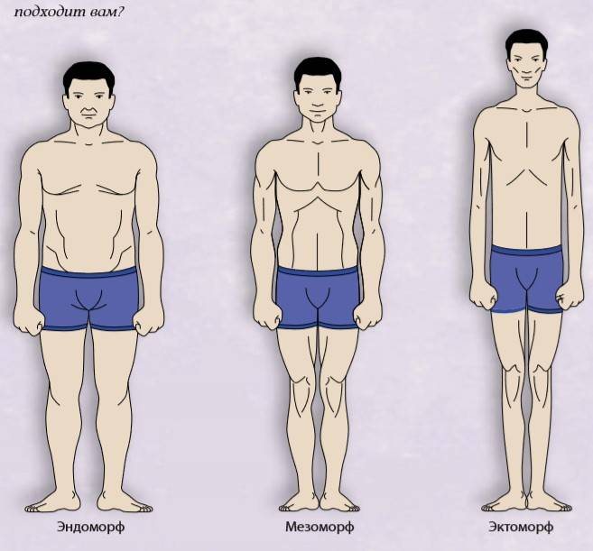 Телосложение - идеальные пропорции тела эктоморфа, эндоморфа и мезоморфа, как производить замеры частей тела, как достичь идеальных пропорций телосложения
