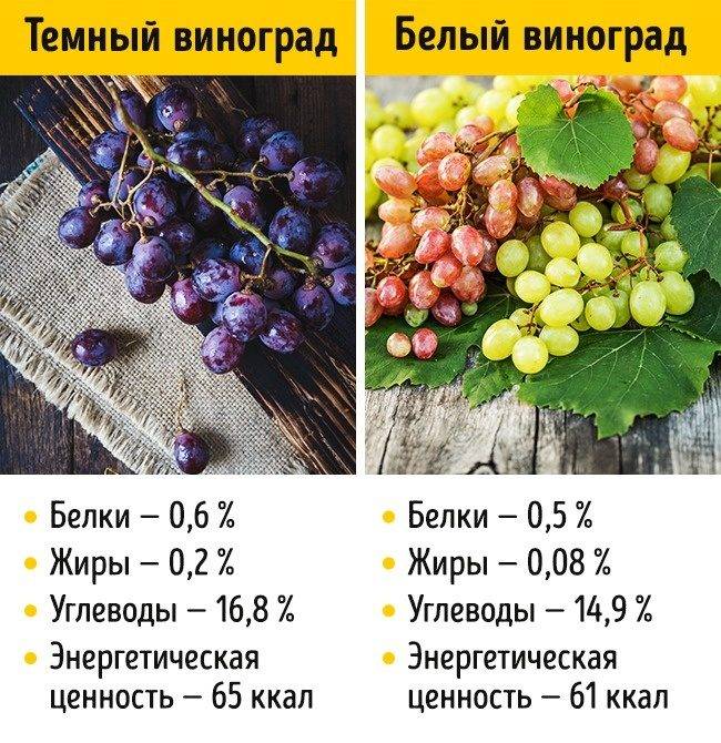 Виноград кишмиш: калорийность, польза и вред