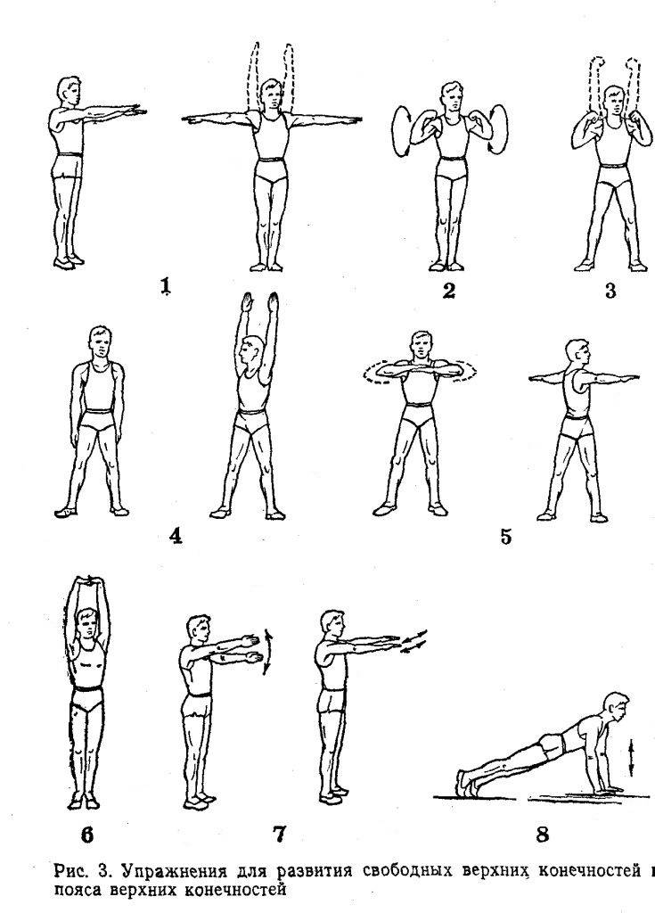20 самых эффективных упражнений для рук