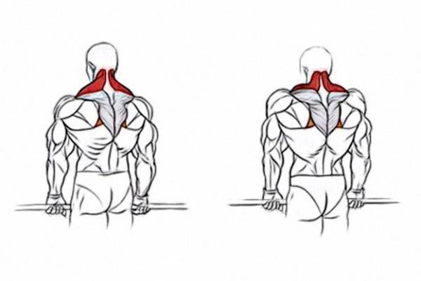 Упражнения на трапецию в тренажерном зале для мужчин. упражнения для трапециевидных мышц спины