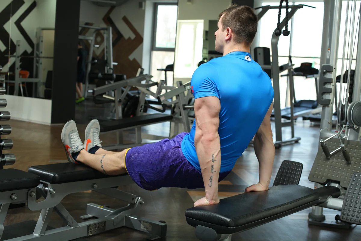 Забытая мышца: как увеличить объем трицепса всего за 30 дней | brodude.ru