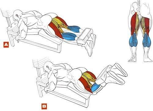Ягодичные мышцы это больше, чем просто подушки для  сидения