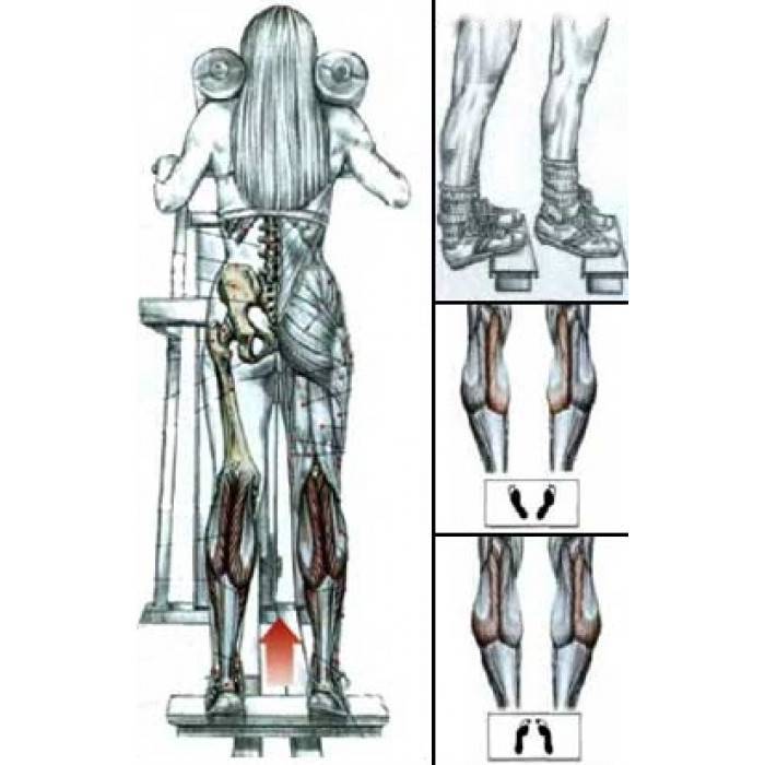 Подъём икроножных мышц стоя