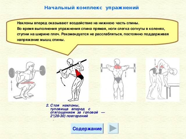 Комплекс упражнений атлетической гимнастики