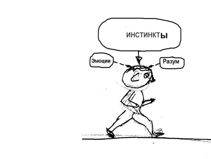Первобытные и животные инстинкты человека - портал обучения и саморазвития
