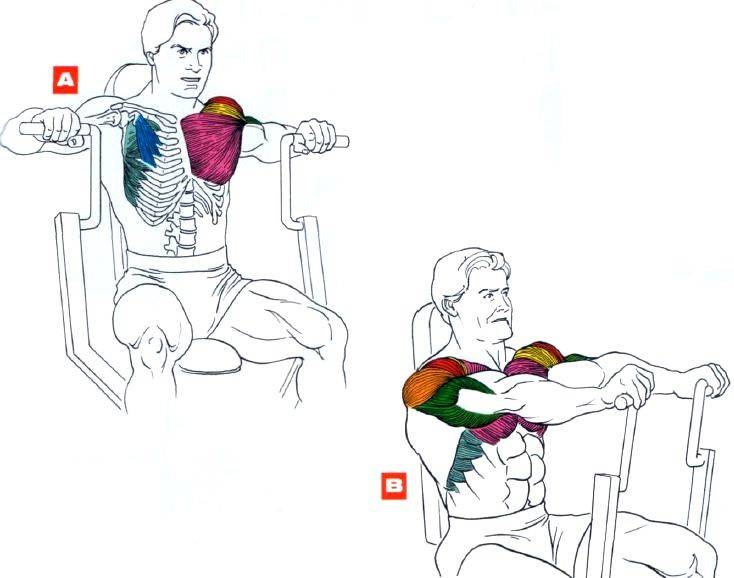 Жим в тренажере на плечи: техника и вариации выполнения, какие мышцы работают