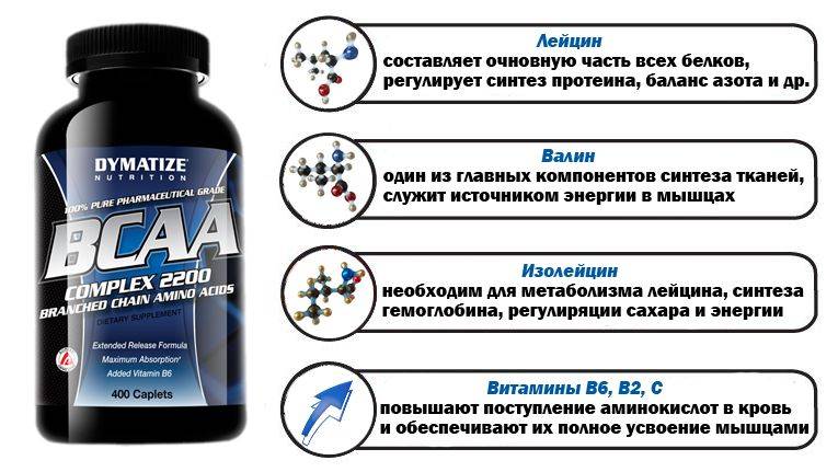 Аминокислоты: для чего нужны спортсменам и обычным людям, 11 полезных свойств аминокислты для организма