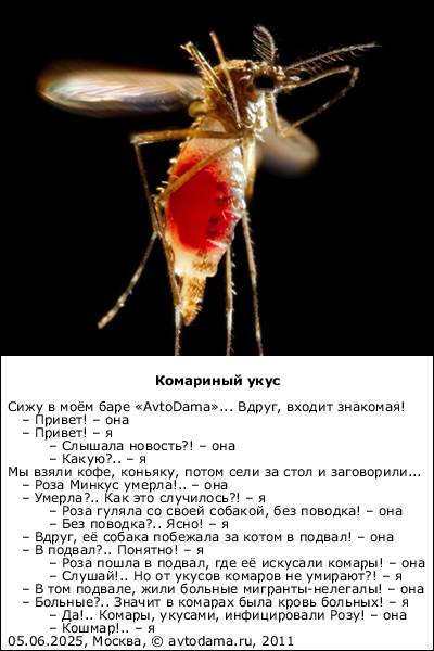 Почему комары пьют кровь и как они это делают