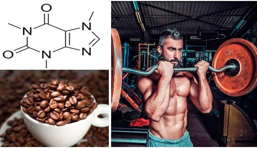 Кофеин в бодибилдинге- польза и вред, правила приема кофеин-бензоата натрия