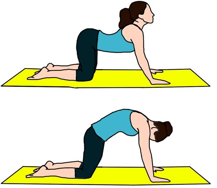 Упражнения для спины - в домашних условиях вылечить спину, натренировать мышцы, укрепить позвоночник