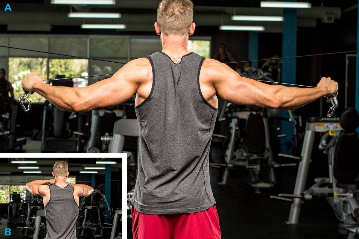 Как укрепить мышцы плечевого пояса?