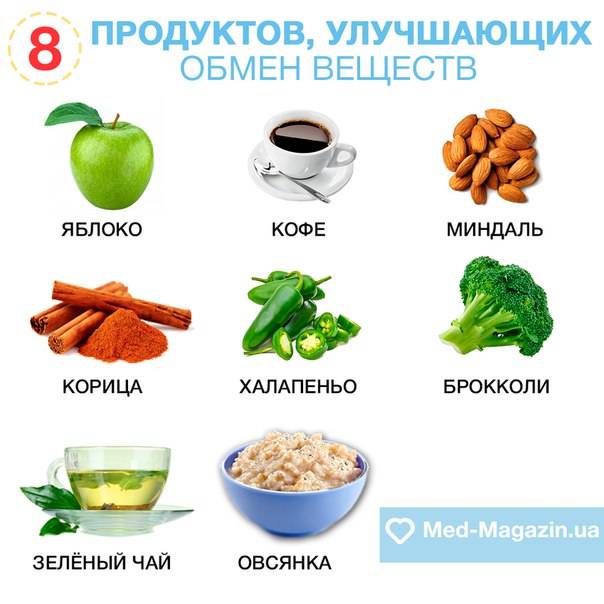 Топ-10 продуктов, ускоряющих метаболизм в организме | food and health