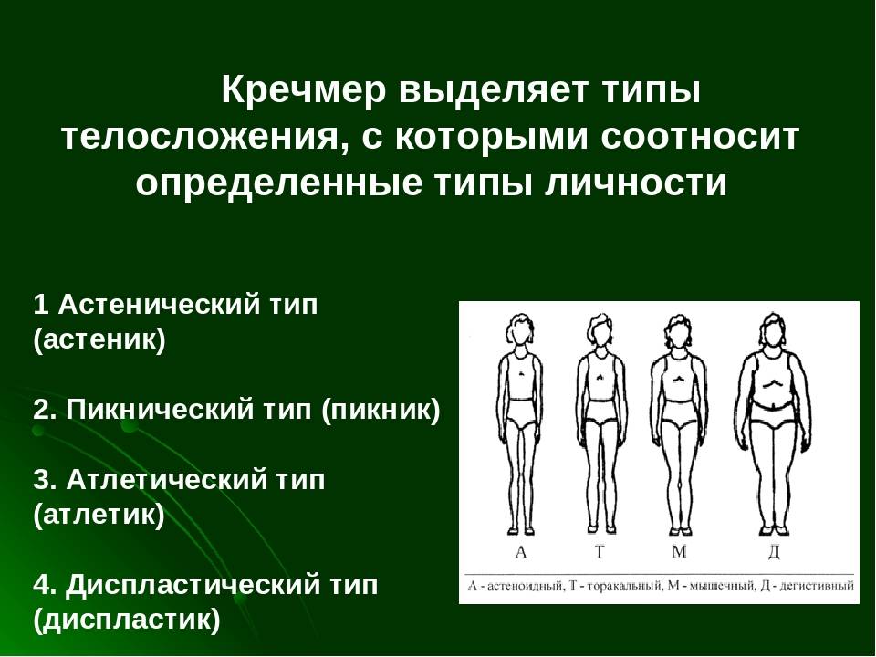 Особенности, типы и основные черты среднего телосложения человека
