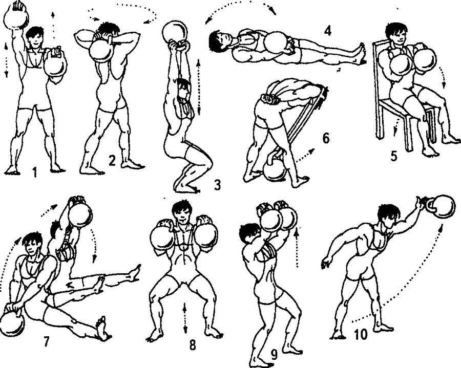 Упражнения для спины с гантелями в домашних условиях для женщин и мужчин