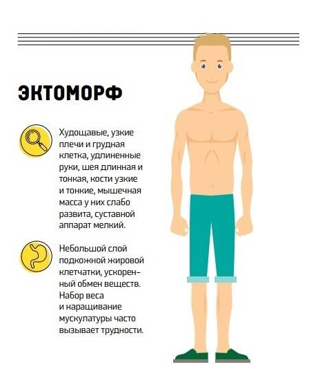 Эктоморф: питание и программа тренировок для худощавого телосложения