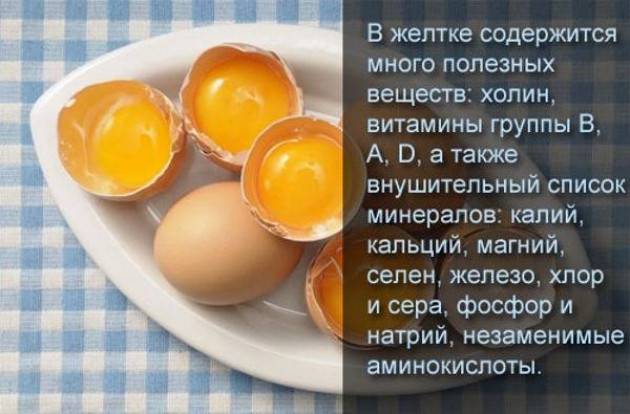 Можно ли есть яйца каждый день и чем это грозит