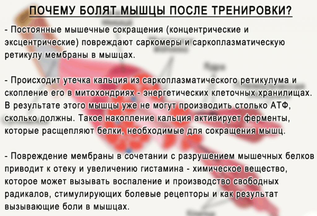 Болят мышцы после тренировки—что делать? как снять боль?