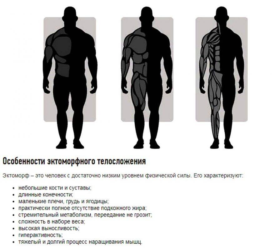 Программа тренировок для эктоморфа для набора мышечной