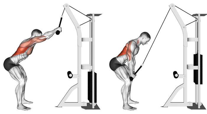 Расширение костяка плеч: упражнения, техника выполнения, фото