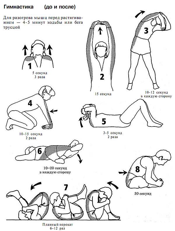 Упражнения на гибкость на каждый день. комплекс растяжки мышц.