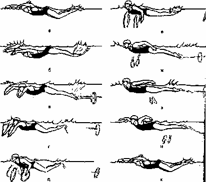 Техника плавания баттерфляем для начинающих в картинках пошагово