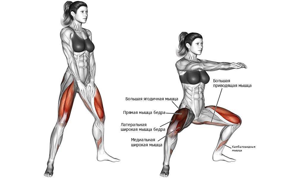 Выпады с гантелями: какие мышцы работают, динамичные упражнения, как правильно шагать с гантелями или гирей