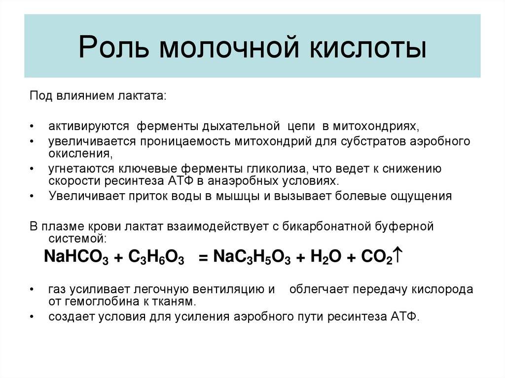 Молочная кислота (лактат) и физические нагрузки
молочная кислота (лактат) и физические нагрузки