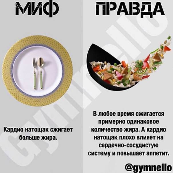 Мифы о питании (часть 5):  - сибирский медицинский портал