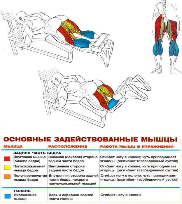Как накачать верхнюю и нижнюю часть ягодиц и подтянуть боковые ягодичные мышцы | adrenalin-sport.ru