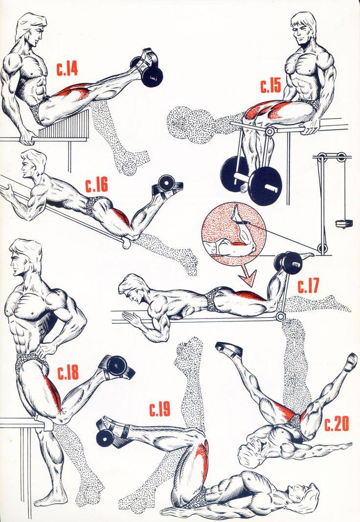 Упражнения на ноги с гантелями для мужчин в домашних условиях