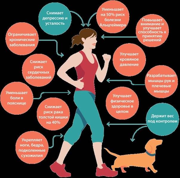 Топ 20 свойств чем полезна ежедневная ходьба пешком для здоровья
