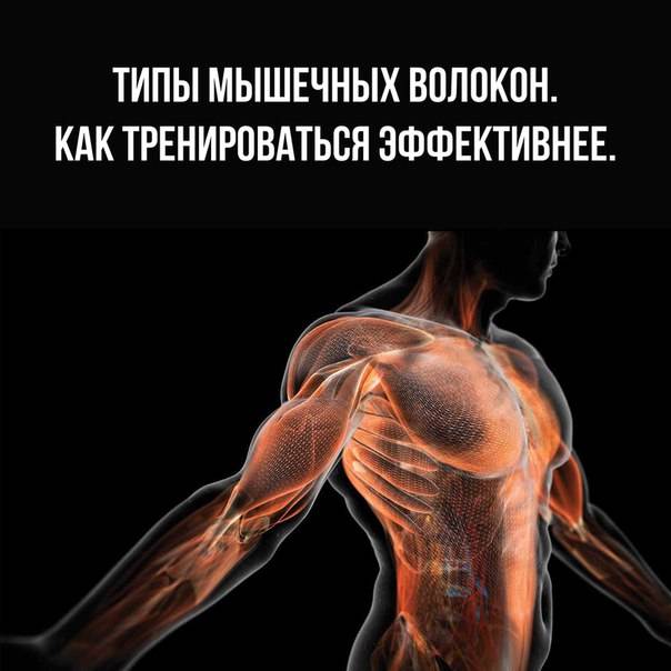 Увеличь мышцы! научно обоснованные решения для максимального мышечного роста | fpa